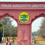 Punjab Agricultural University 2022 Admission Exam Date Online Apply