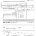 How To Fill Allama Iqbal Open University Admission Form Admission Form