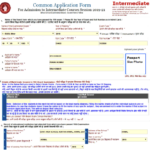 Online Admission Form For Class 11 In Bihar Admission Form