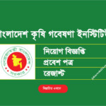 BARI Job Circular 2022 Bari teletalk bd Apply