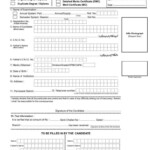 University Of Punjab Duplicate Degree 2022 2023 Student Forum